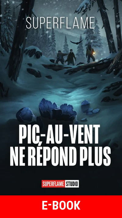 Pic-au-Vent ne répond plus (Version E-Book)